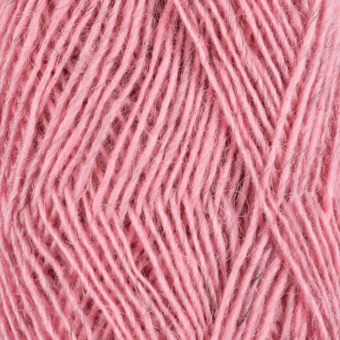 Istex Fjallalopi - Image 26