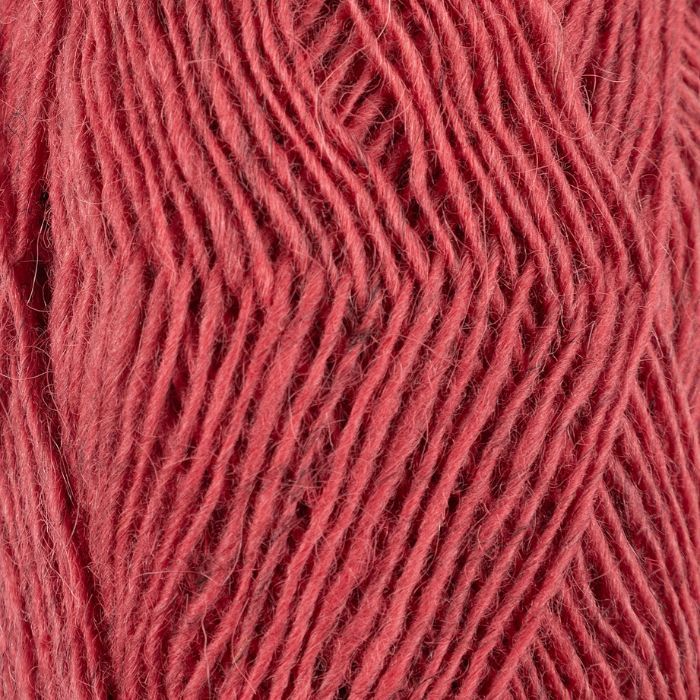 Istex Fjallalopi - Image 27